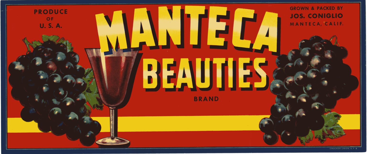 Manteca Beauties